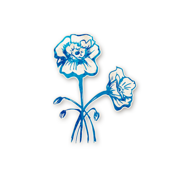 Cultivateur de pavot